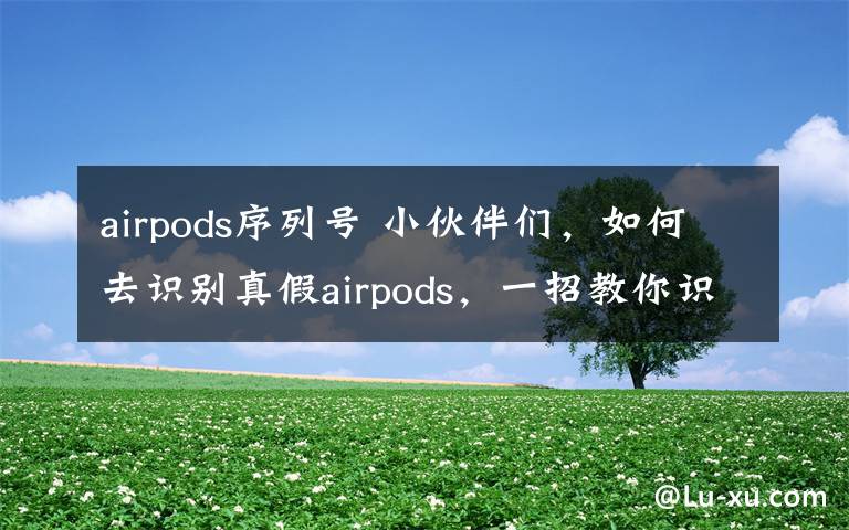 airpods序列號(hào) 小伙伴們，如何去識(shí)別真假airpods，一招教你識(shí)別真假悟空