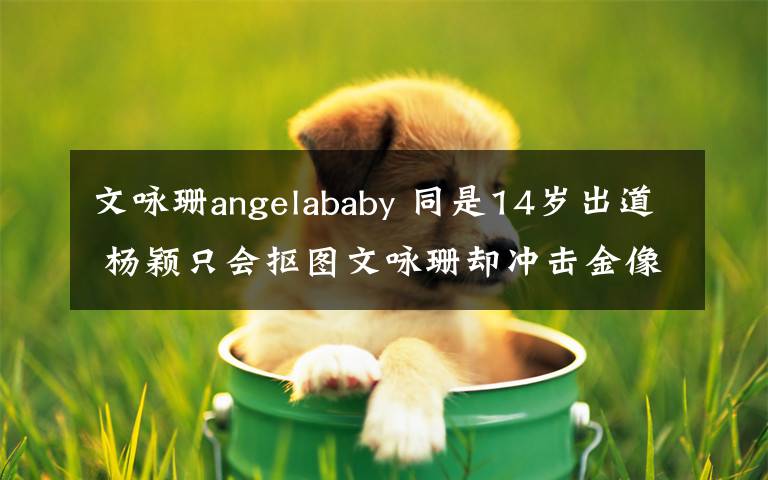 文詠珊angelababy 同是14歲出道 楊穎只會摳圖文詠珊卻沖擊金像獎