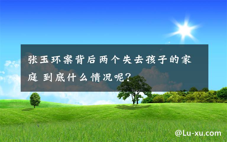 張玉環(huán)案背后兩個失去孩子的家庭 到底什么情況呢？