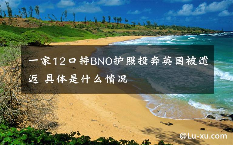 一家12口持BNO護(hù)照投奔英國(guó)被遣返 具體是什么情況