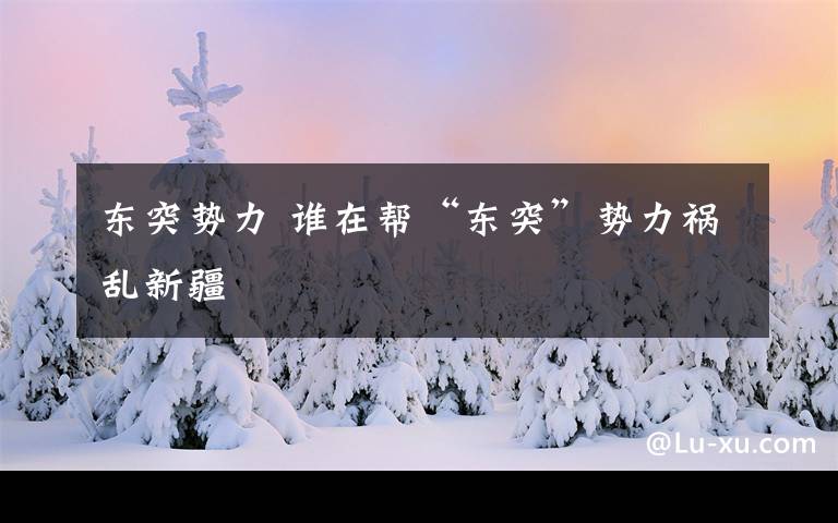 東突勢力 誰在幫“東突”勢力禍亂新疆