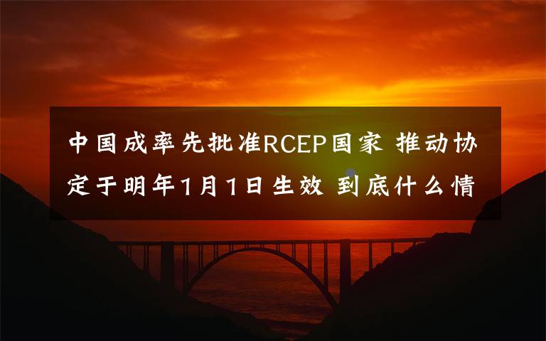 中國成率先批準RCEP國家 推動協(xié)定于明年1月1日生效 到底什么情況呢？