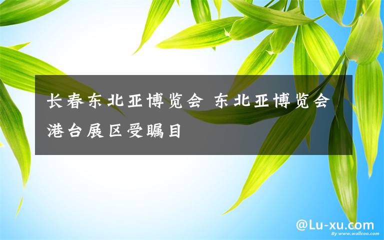 長(zhǎng)春東北亞博覽會(huì) 東北亞博覽會(huì)港臺(tái)展區(qū)受矚目