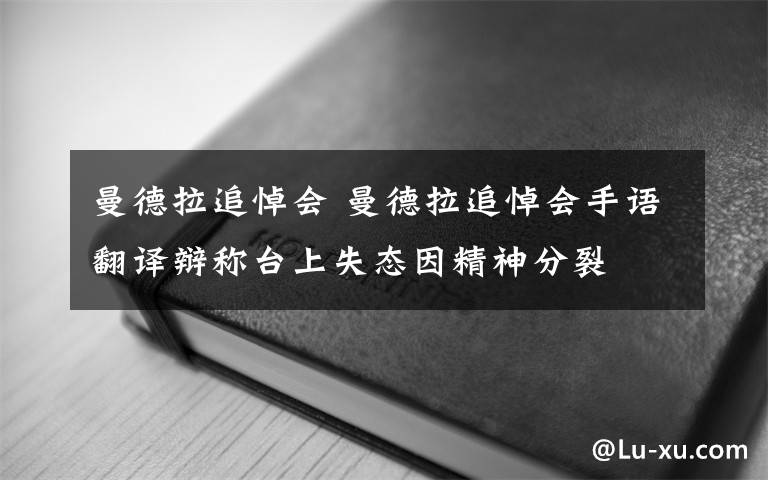 曼德拉追悼會(huì) 曼德拉追悼會(huì)手語(yǔ)翻譯辯稱臺(tái)上失態(tài)因精神分裂