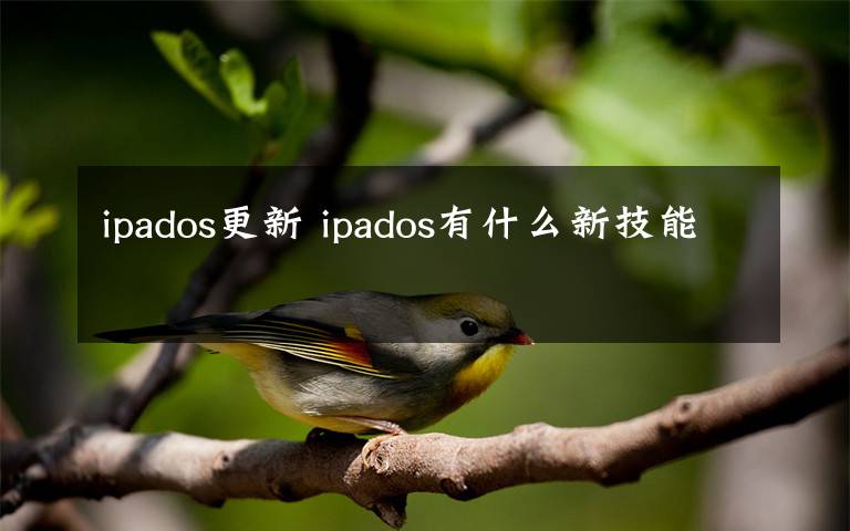 ipados更新 ipados有什么新技能