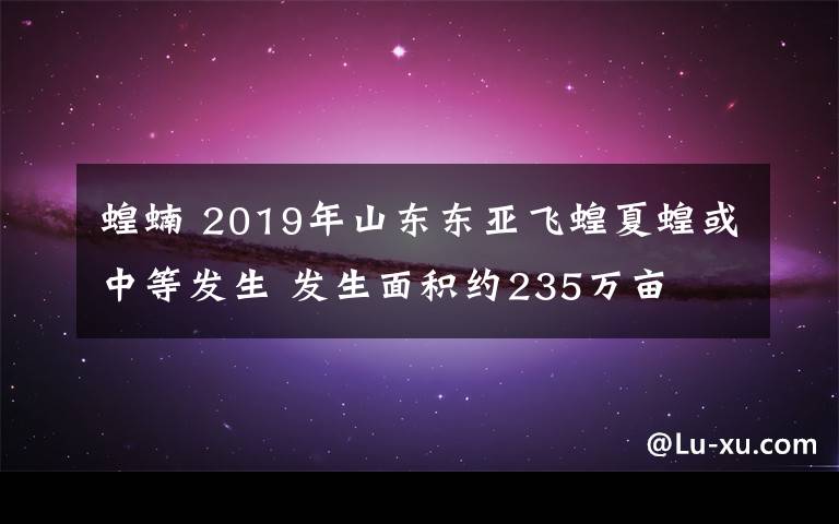 蝗蝻 2019年山東東亞飛蝗夏蝗或中等發(fā)生 發(fā)生面積約235萬畝