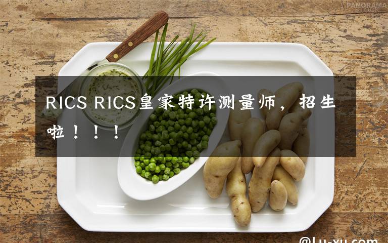 RICS RICS皇家特許測(cè)量師，招生啦！??！