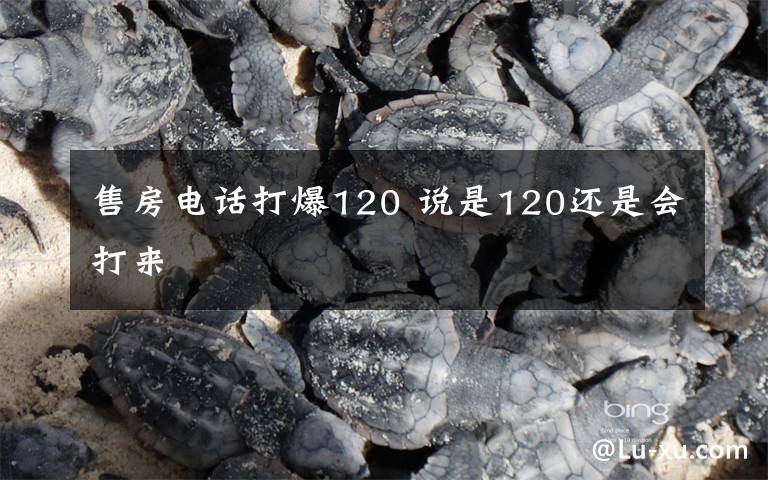 售房電話打爆120 說是120還是會打來