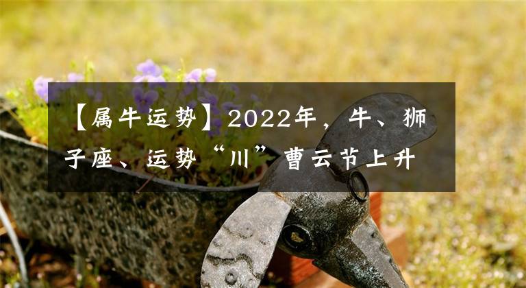 【屬牛運(yùn)勢】2022年，牛、獅子座、運(yùn)勢“川”曹云節(jié)上升。