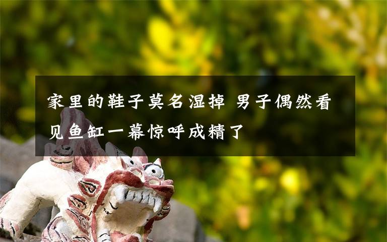 家里的鞋子莫名濕掉 男子偶然看見魚缸一幕驚呼成精了