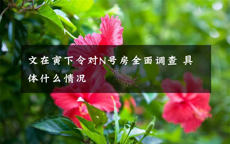 文在寅下令對(duì)N號(hào)房全面調(diào)查 具體什么情況