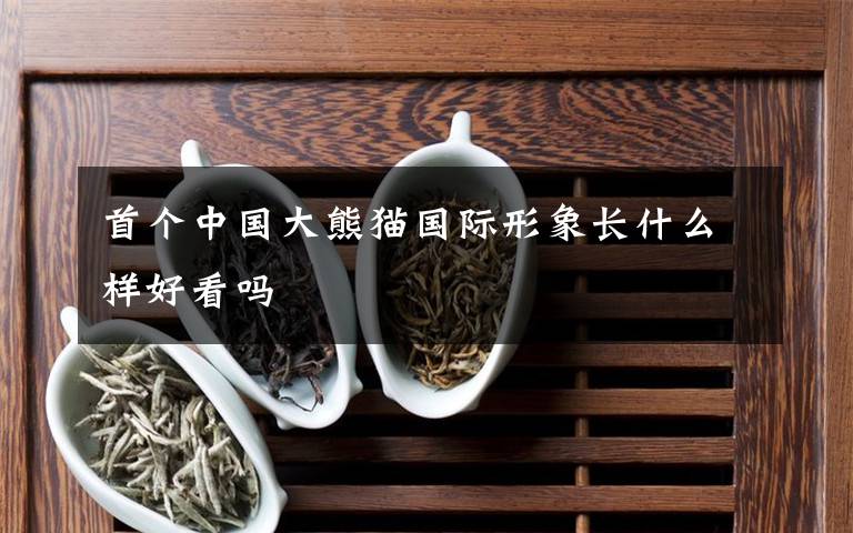 首個(gè)中國(guó)大熊貓國(guó)際形象長(zhǎng)什么樣好看嗎