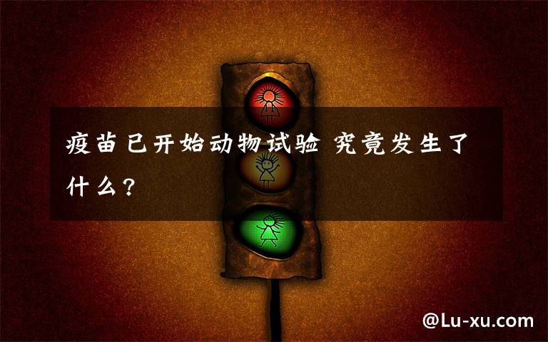 疫苗已開始動(dòng)物試驗(yàn) 究竟發(fā)生了什么?