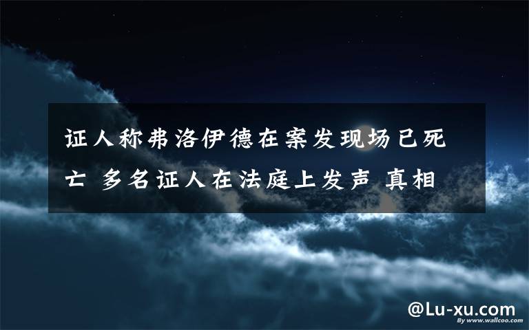 證人稱弗洛伊德在案發(fā)現(xiàn)場(chǎng)已死亡 多名證人在法庭上發(fā)聲 真相原來(lái)是這樣！