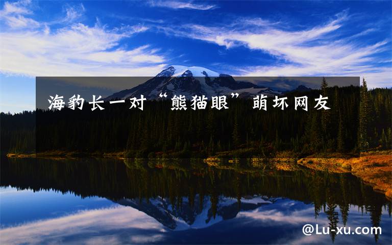 海豹長(zhǎng)一對(duì)“熊貓眼”萌壞網(wǎng)友