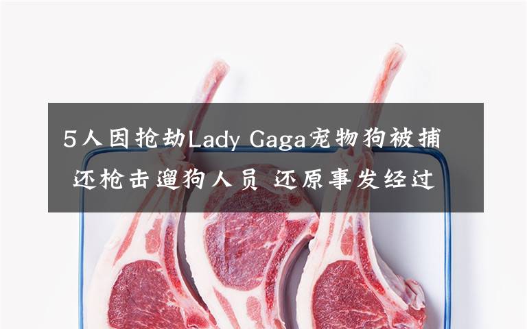 5人因搶劫Lady Gaga寵物狗被捕 還槍擊遛狗人員 還原事發(fā)經(jīng)過(guò)及背后真相！