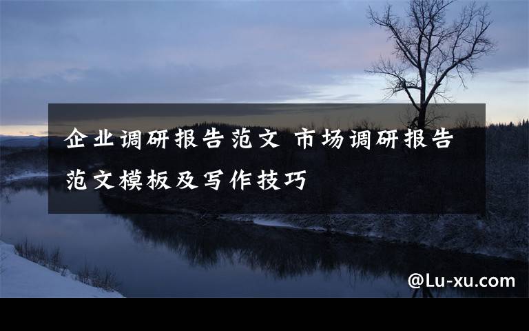 企業(yè)調研報告范文 市場調研報告范文模板及寫作技巧