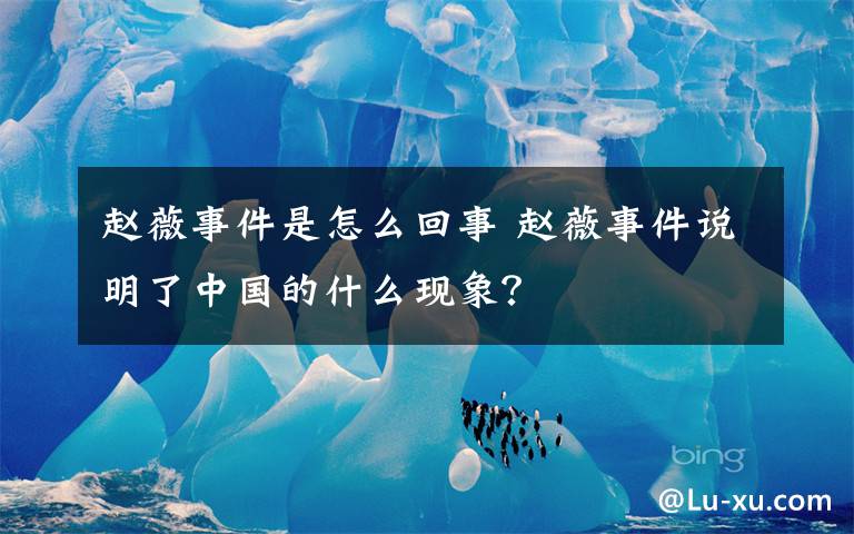 趙薇事件是怎么回事 趙薇事件說明了中國的什么現(xiàn)象？