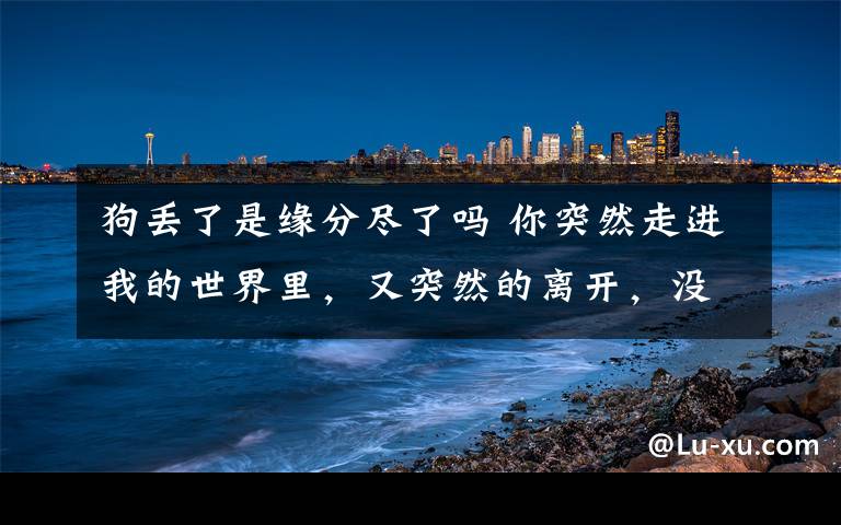 狗丟了是緣分盡了嗎 你突然走進(jìn)我的世界里，又突然的離開，沒有一點(diǎn)征兆，沒有再見，緣分這東西，真的很奇妙，說沒就真的沒了。