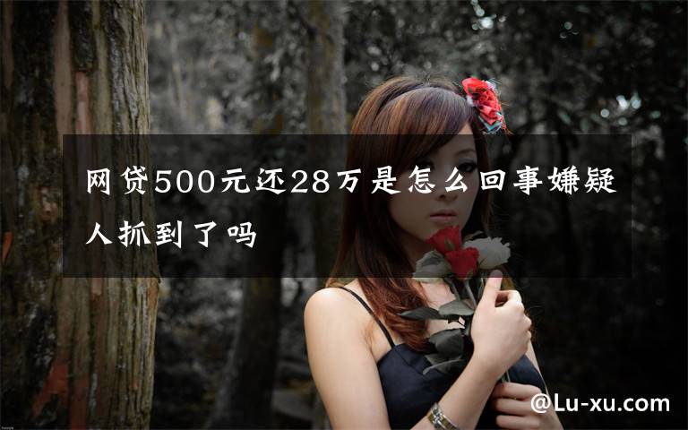 網(wǎng)貸500元還28萬是怎么回事嫌疑人抓到了嗎