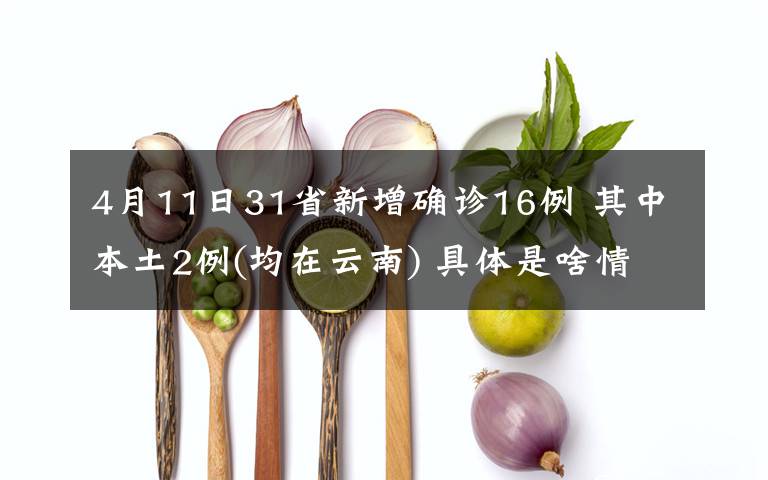 4月11日31省新增確診16例 其中本土2例(均在云南) 具體是啥情況?