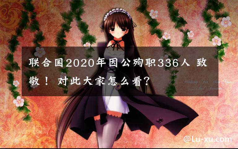 聯(lián)合國2020年因公殉職336人 致敬！ 對此大家怎么看？