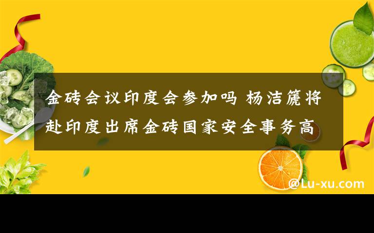 金磚會(huì)議印度會(huì)參加嗎 楊潔篪將赴印度出席金磚國(guó)家安全事務(wù)高級(jí)代表第六次會(huì)議