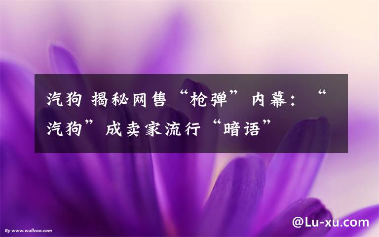 汽狗 揭秘網(wǎng)售“槍彈”內(nèi)幕：“汽狗”成賣家流行“暗語”