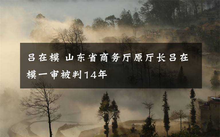 呂在模 山東省商務(wù)廳原廳長呂在模一審被判14年