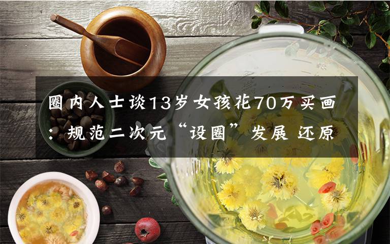 圈內(nèi)人士談13歲女孩花70萬(wàn)買畫：規(guī)范二次元“設(shè)圈”發(fā)展 還原事發(fā)經(jīng)過(guò)及背后原因！