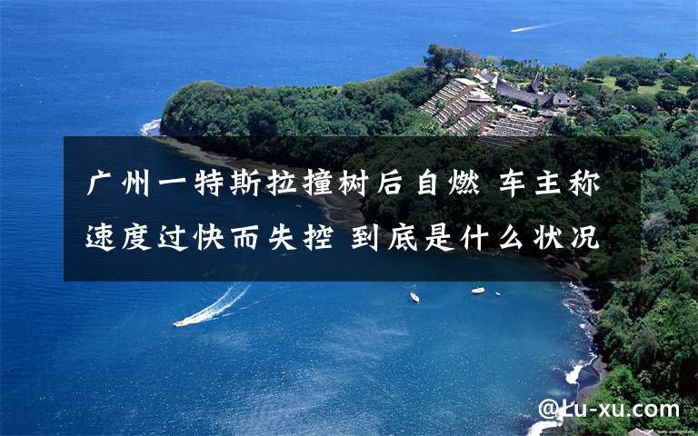 廣州一特斯拉撞樹后自燃 車主稱速度過快而失控 到底是什么狀況？