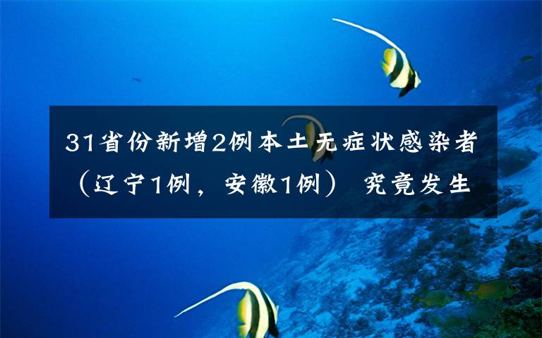 31省份新增2例本土無(wú)癥狀感染者（遼寧1例，安徽1例） 究竟發(fā)生了什么?