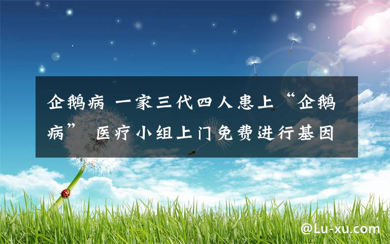 企鵝病 一家三代四人患上“企鵝病” 醫(yī)療小組上門免費(fèi)進(jìn)行基因檢測(cè)