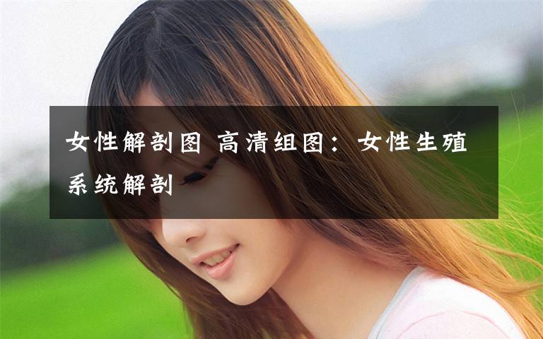 女性解剖圖 高清組圖：女性生殖系統(tǒng)解剖