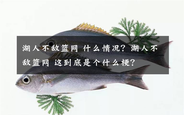 湖人不敵籃網(wǎng) 什么情況？湖人不敵籃網(wǎng) 這到底是個什么梗？