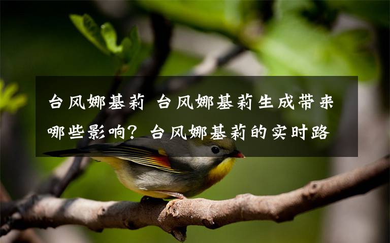 臺風(fēng)娜基莉 臺風(fēng)娜基莉生成帶來哪些影響？臺風(fēng)娜基莉的實時路徑圖及天氣變化