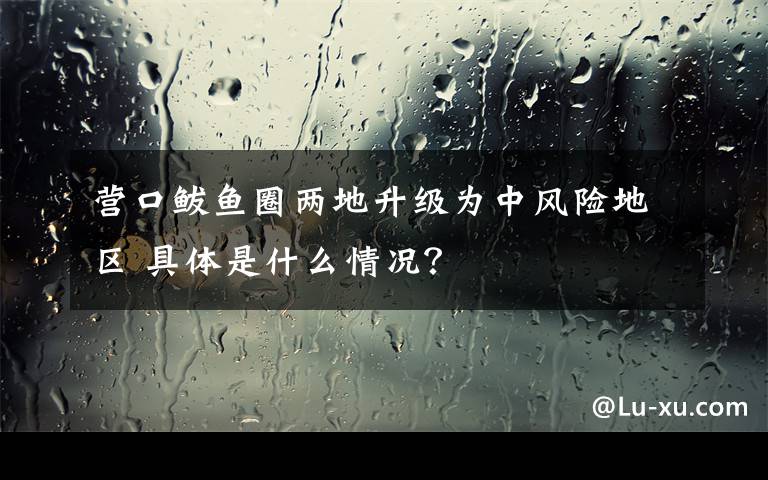 營(yíng)口鲅魚(yú)圈兩地升級(jí)為中風(fēng)險(xiǎn)地區(qū) 具體是什么情況？