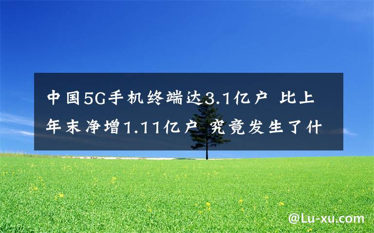 中國(guó)5G手機(jī)終端達(dá)3.1億戶 比上年末凈增1.11億戶 究竟發(fā)生了什么?