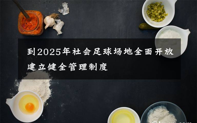  到2025年社會(huì)足球場(chǎng)地全面開放 建立健全管理制度