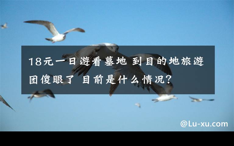 18元一日游看墓地 到目的地旅游團傻眼了 目前是什么情況？