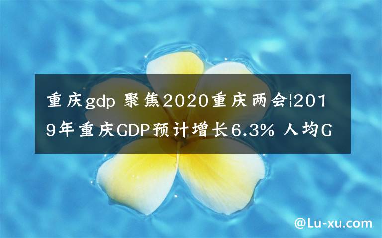 重慶gdp 聚焦2020重慶兩會(huì)|2019年重慶GDP預(yù)計(jì)增長6.3% 人均GDP突破1萬美元