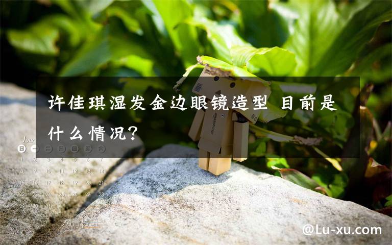 許佳琪濕發(fā)金邊眼鏡造型 目前是什么情況？