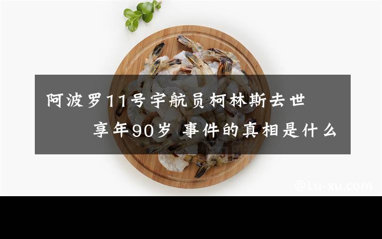 阿波羅11號(hào)宇航員柯林斯去世??? 享年90歲 事件的真相是什么？