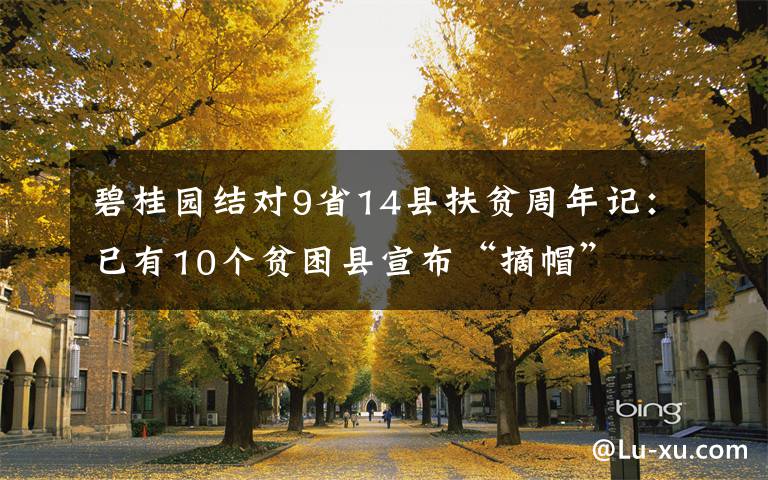 碧桂園結(jié)對(duì)9省14縣扶貧周年記：已有10個(gè)貧困縣宣布“摘帽”