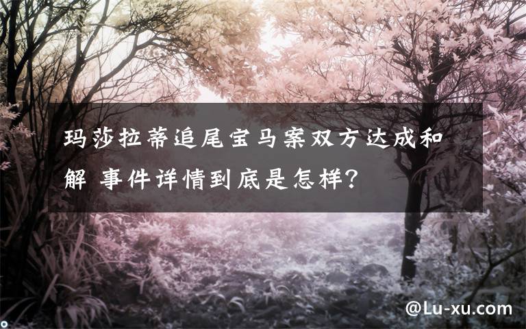 瑪莎拉蒂追尾寶馬案雙方達(dá)成和解 事件詳情到底是怎樣？