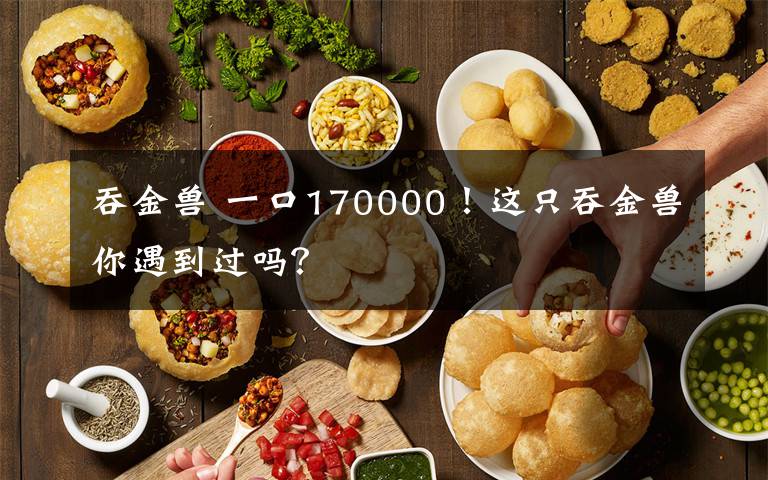 吞金獸 一口170000！這只吞金獸你遇到過嗎？