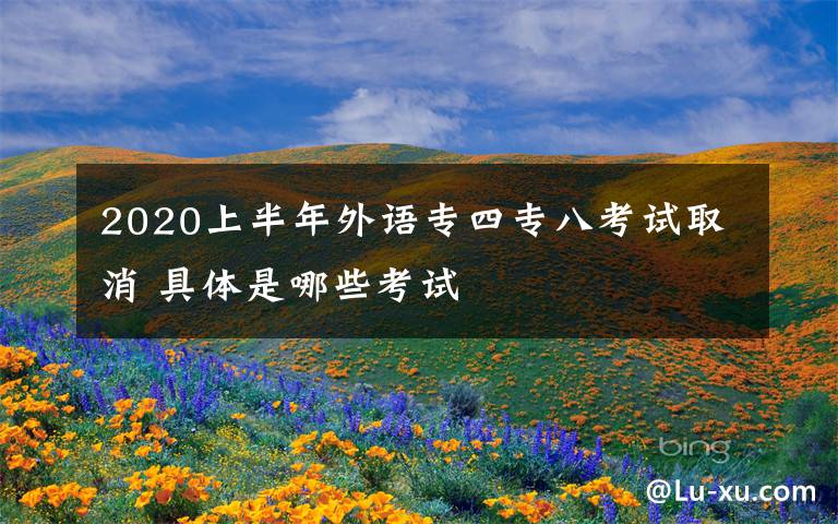 2020上半年外語(yǔ)專四專八考試取消 具體是哪些考試