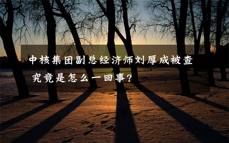 中核集團(tuán)副總經(jīng)濟(jì)師劉厚成被查 究竟是怎么一回事?