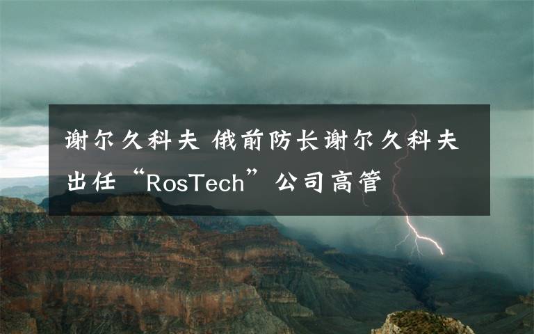 謝爾久科夫 俄前防長謝爾久科夫出任“RosTech”公司高管