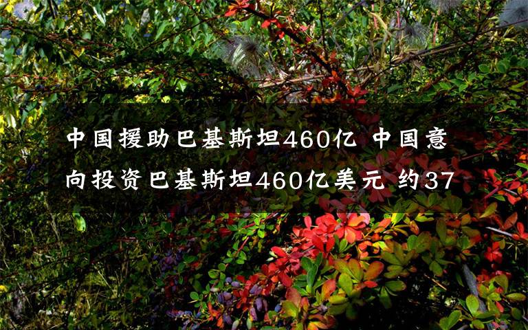 中國援助巴基斯坦460億 中國意向投資巴基斯坦460億美元 約370億投向能源